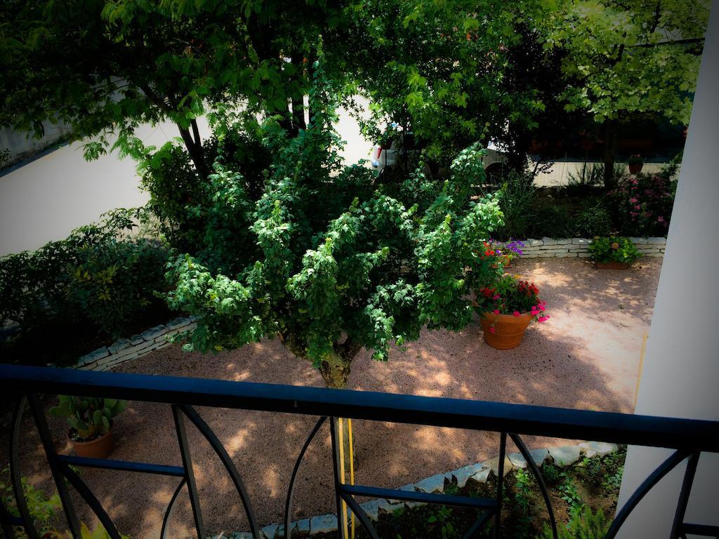 Bed & Breakfast Don Carlos San Martino di Lupari Екстер'єр фото