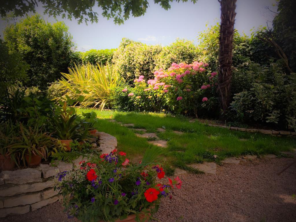 Bed & Breakfast Don Carlos San Martino di Lupari Екстер'єр фото