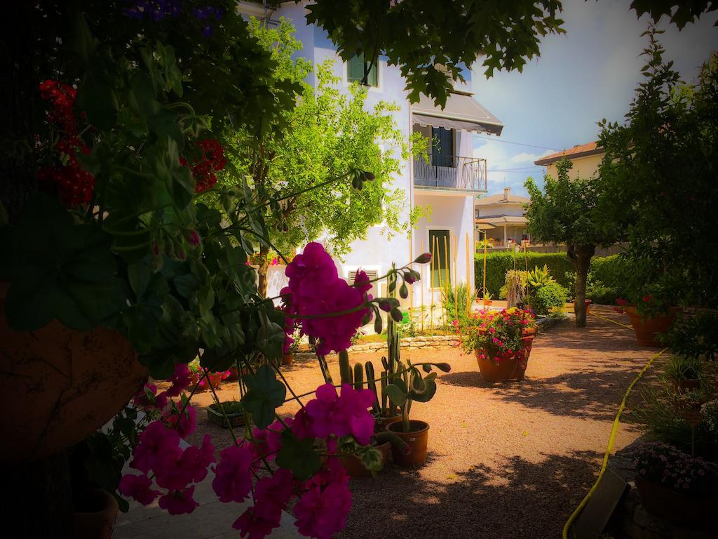 Bed & Breakfast Don Carlos San Martino di Lupari Екстер'єр фото