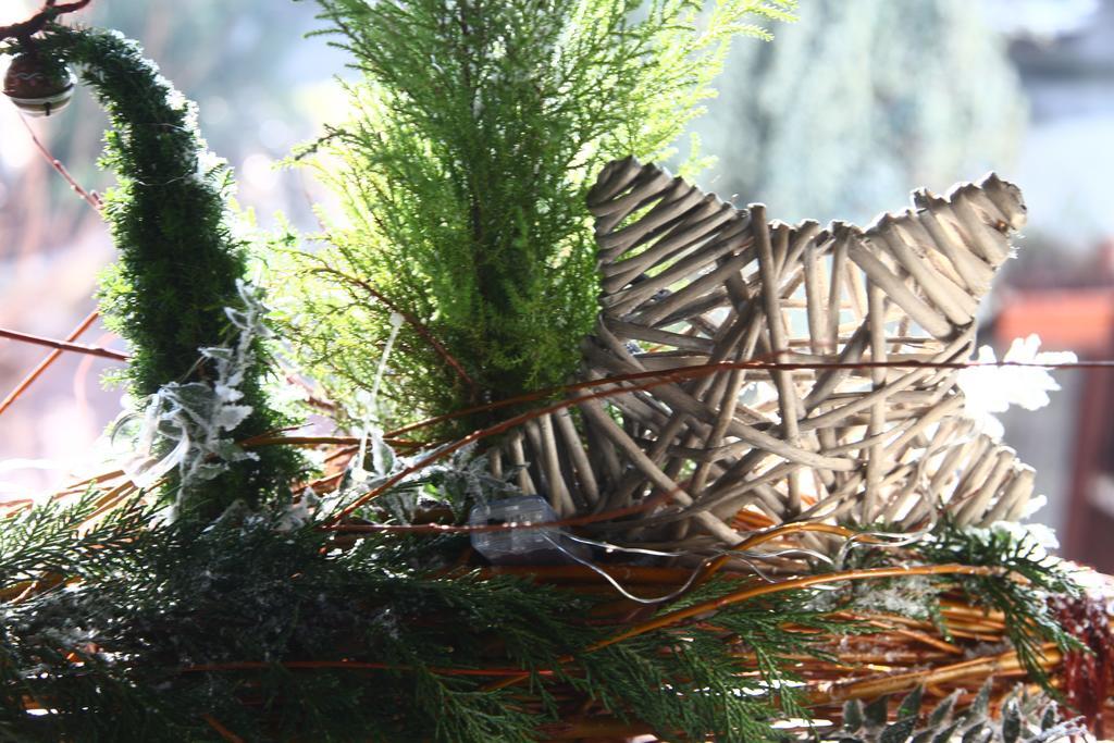 Bed & Breakfast Don Carlos San Martino di Lupari Екстер'єр фото