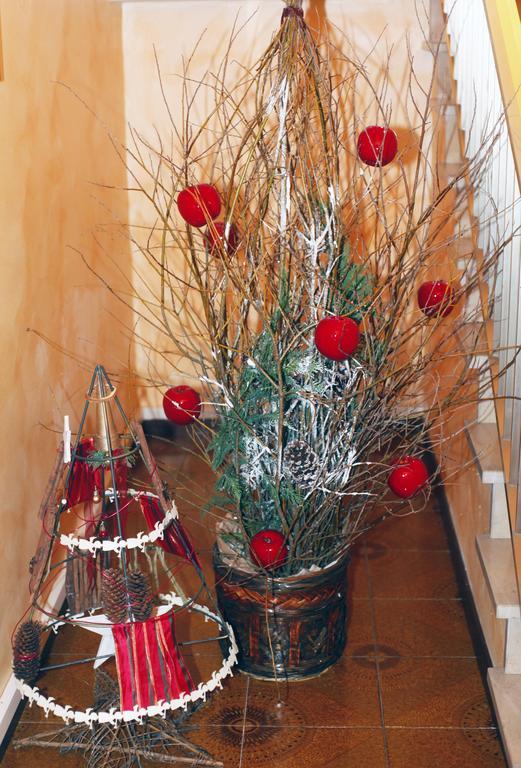 Bed & Breakfast Don Carlos San Martino di Lupari Екстер'єр фото