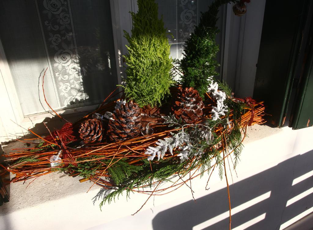 Bed & Breakfast Don Carlos San Martino di Lupari Екстер'єр фото